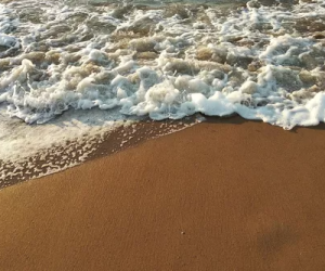 Пробы морской воды в Крыму: где чаще выявляли «нестандарт»
