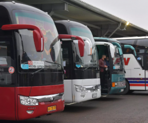 Как будут ходить автобусы из Крыма и на полуостров